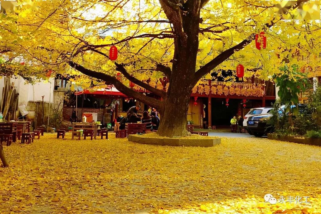 七彩云南，邂逅浪漫